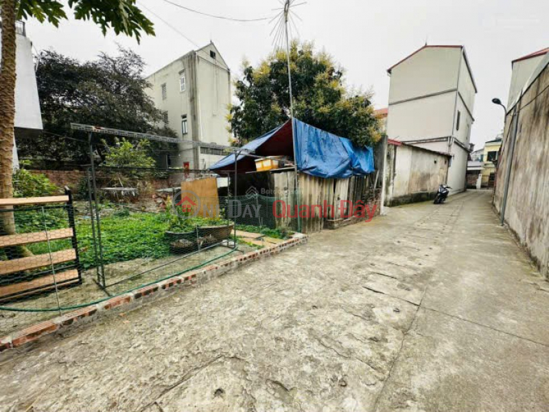 Land for sale in Co Duong, Tien Duong, Dong Anh. Near Highway 23, ARCHIMEDES school Sales Listings