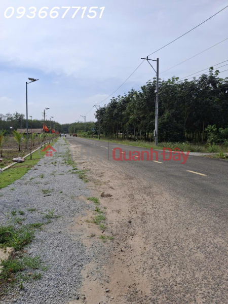 Property Search Vietnam | OneDay | Residential Sales Listings OWNER SELLING LAND PLOT AT A GOOD PRICE IN PHU GIAO – NEAR HO CHI MINH CITY