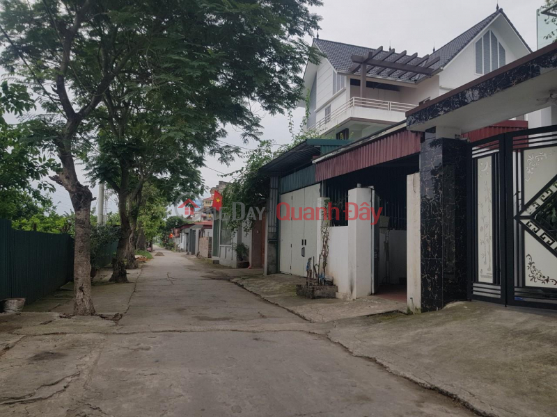 Property Search Vietnam | OneDay | Nhà ở Niêm yết bán Chính chủ gửi bán 55m2 đất bìa làng thôn Đường Yên, Xuân Nộn, Đông Anh, Hà Nội