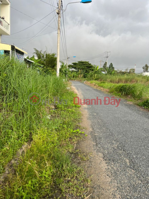 Land for sale at No. 5 Street (opposite the park) Tay Khanh 8 Residential Area, My Hoa Ward, Long Xuyen City, An Giang _0