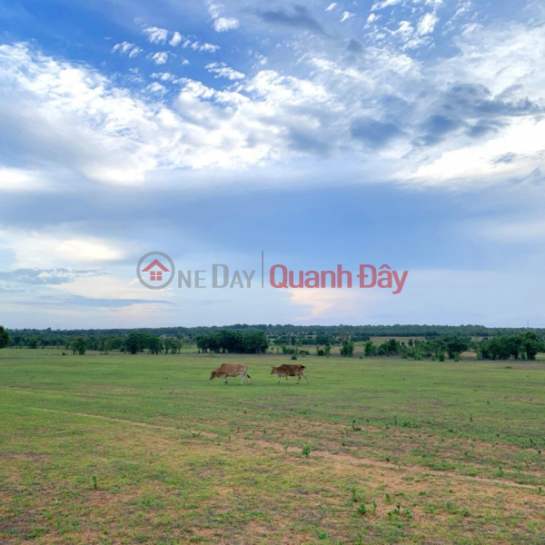 Property Search Vietnam | OneDay | | Niêm yết bán, KHÁCH CẦN ĐẦU TƯ NÊN BÁN GẤP