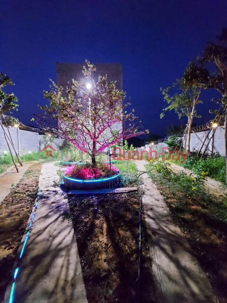 Owner selling house and land with existing swiftlet farm, area 1249m², in Nam Cat Tien, Tan Phu, Dong Nai. | Vietnam | Sales đ 10.5 Billion