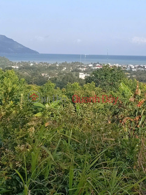QUICK SALE: 2 PLOTS OF LAND IN VINH LUONG. Price: 250,000 VND\/m² _0