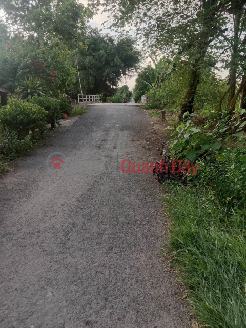 BEAUTIFUL LAND - GOOD PRICE - Urgent Sale Land Lot Beautiful Front In Tan Phu Commune, Chau Thanh District, Dong Thap _0