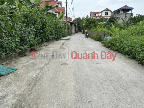 The Owner sends for sale a plot of land 83m2 Mai Dong - Mai Dinh - Soc Son _0