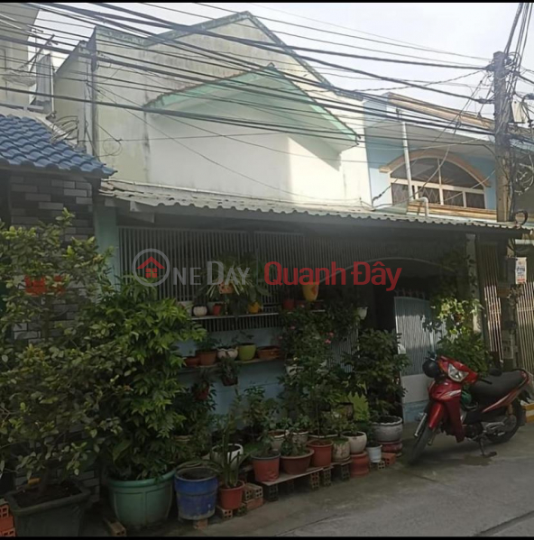 GENERAL For Quick Sale Old House Level 4 In Binh Chanh-HCMC Sales Listings