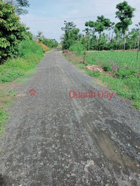 BEAUTIFUL LAND, CONVENIENT LOCATION - Own a potential plot of land in Cumgar, Dak Lak province _0