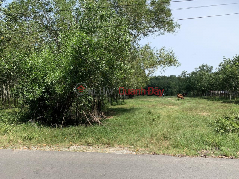 đ 1.92 Billion | BEAUTIFUL LAND - GOOD PRICE - For Quick Sale Land Lot Prime Location in Dau Tieng district, Binh Duong province