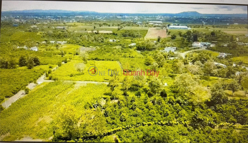 Property Search Vietnam | OneDay | Nhà ở | Niêm yết bán ĐẤT ĐẸP – GIÁ TỐT – CƠ HỘI SỞ HỮU LÔ ĐẤT VÀNG TẠI Đường Quốc lộ 20, Xã Lộc An