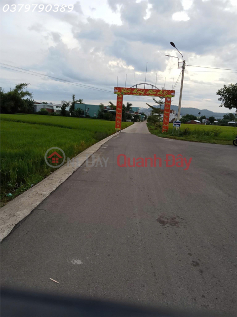 Chính chủ cần bán 140m2 tại Thôn Đại Lễ, Phước Hiệp, Tuy Phước, giá đầu tư _0