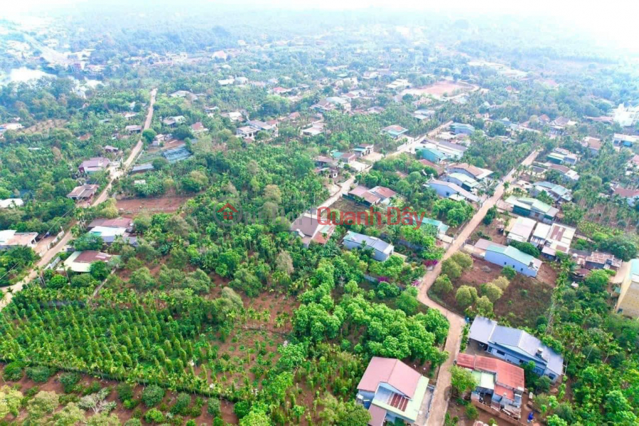 PRIME LAND AT A GOOD PRICE – LAND FOR SALE IN VILLAGE 7, Ea Tiêu Commune, Cư Kuin District, Đắk Lắk Province Sales Listings