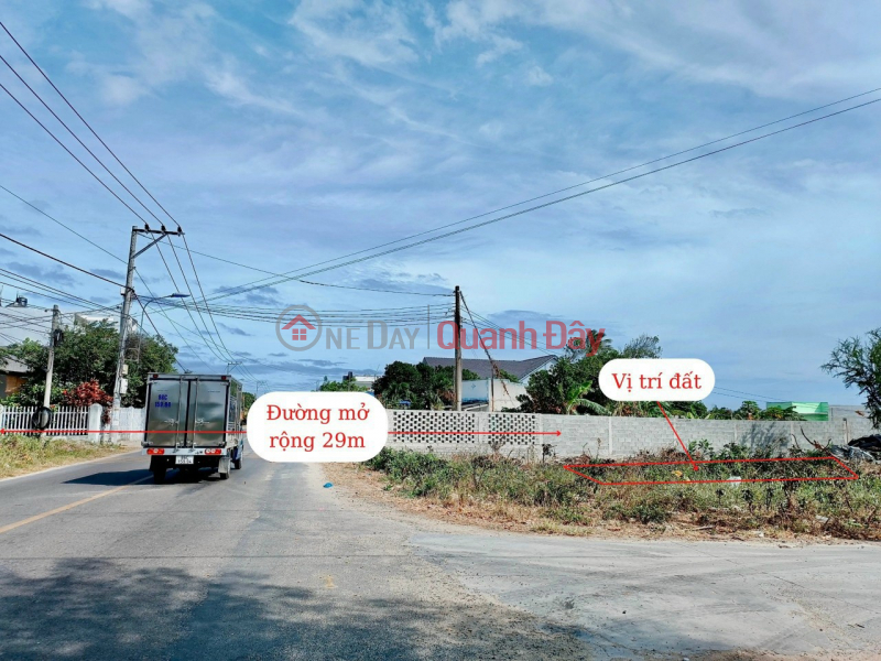 Owner Urgently Selling Before Tet Tuy Phong Beach Land, Binh Thuan 105m2 Front Street 29m Sales Listings