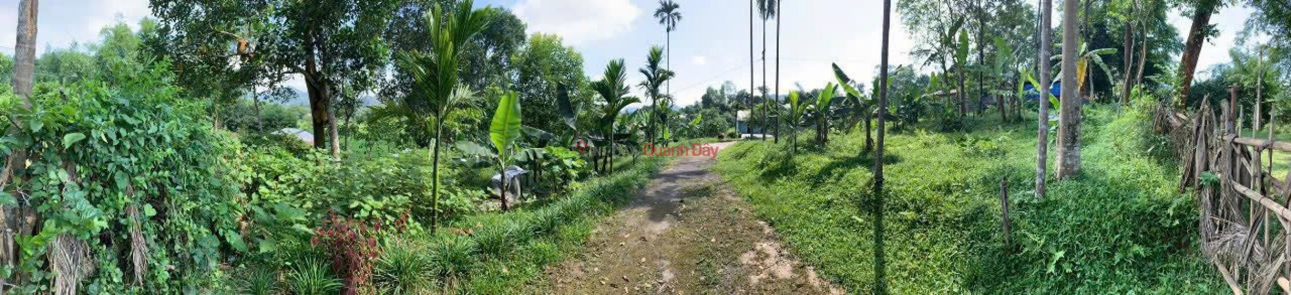  Please Select, Residential, Sales Listings đ 7.74 Billion