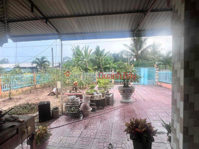 Property Search Vietnam | OneDay | Nhà ở | Niêm yết bán | HOT HOT - ĐẤT ĐẸP - GIÁ RẺ - BÁN GẤP Nhà Đất HUYỆN CAO LÃNH, ĐỒNG THÁP