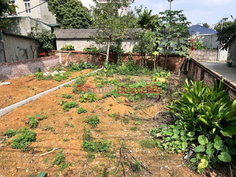 Property Search Vietnam | OneDay | Residential, Sales Listings HOT LAND LOT OF 146.7M IN XUAN MAI CENTER - CHUONG MY - HANOI