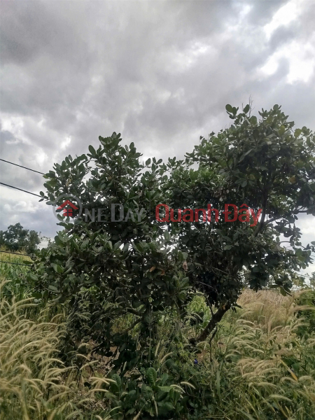 Làm ơn chọn Nhà ở | Niêm yết bán, đ 1,1 tỷ