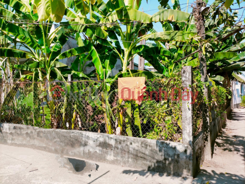 BEAUTIFUL LAND - GOOD PRICE - Owner Needs to Sell Land Lot on Le Van Luong Street, Long Hau Commune, Can Giuoc, Long An _0