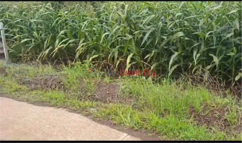 ĐẤT ĐẸP – GIÁ TỐT - Chính Chủ Bán Đất Xã Lang Minh, Huyện Xuân Lộc, Đồng Nai Niêm yết bán