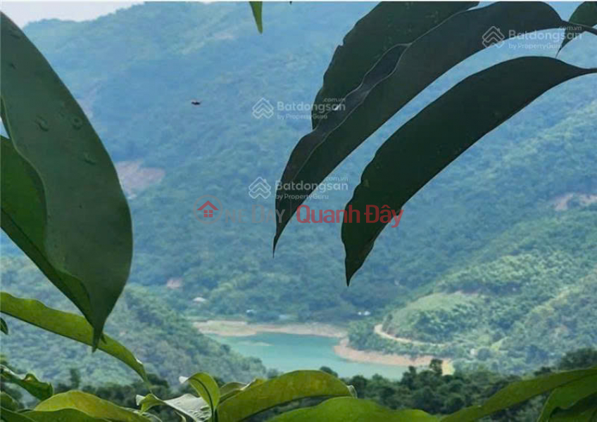 Đất bán tại ĐT 433, 1,1 tỷ, 1031 m2, huyện Đà Bắc, Hòa Bình | Việt Nam Bán đ 1,1 tỷ