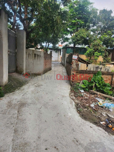 CHÍNH CHỦ CẦN TIỀN BÁN LÔ ĐẤT 68,6M TẠI PHỤNG CHÂU-CHƯƠNG MỸ-HÀ NỘI _0