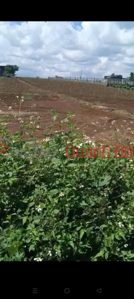 HOT HOT- LOT OF Land FOR SALE URGENTLY in Lien Nghia Town - Duc Trong district - Lam Dong province Sales Listings