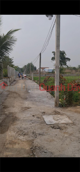Owner For Sale Land Lot Beautiful Location In Phuoc Hau Commune, Can Giuoc, Long An | Vietnam Sales đ 4.5 Billion