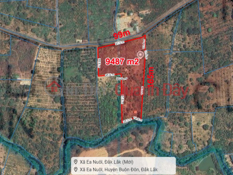 1Ha garden land, with stream - Ea Nuol Commune, Dak Lak _0