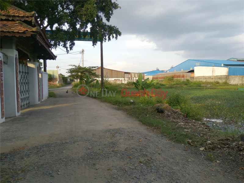 Land for sale in Xuan Thoi 8 Hoc Mon, suitable for investment in 2024 Vietnam | Sales đ 22.1 Billion