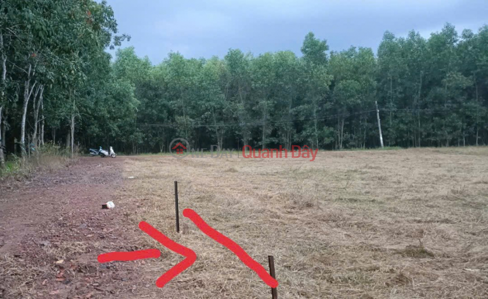  Làm ơn chọn | Nhà ở, Niêm yết bán, đ 650 triệu