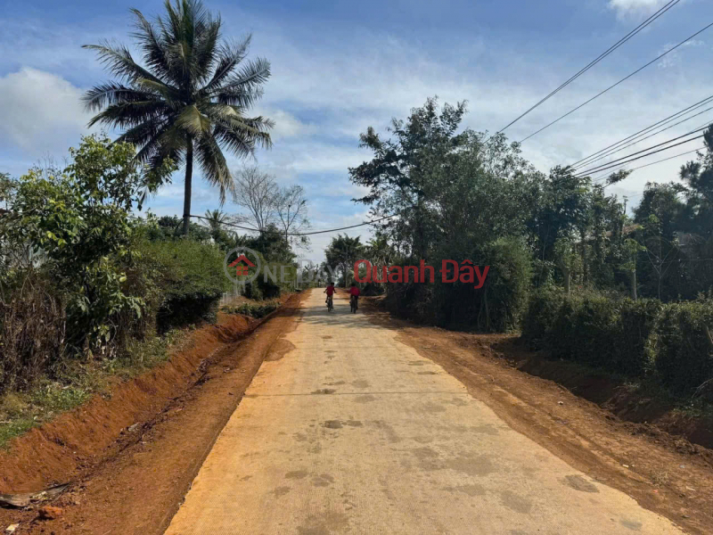 Property Search Vietnam | OneDay | Nhà ở Niêm yết bán, Cần Bán 500m2, Thổ Cư 120m2 Tại Xã Dur Kmăl, Huyện Krông Ana, Tỉnh Đắk Lắk.