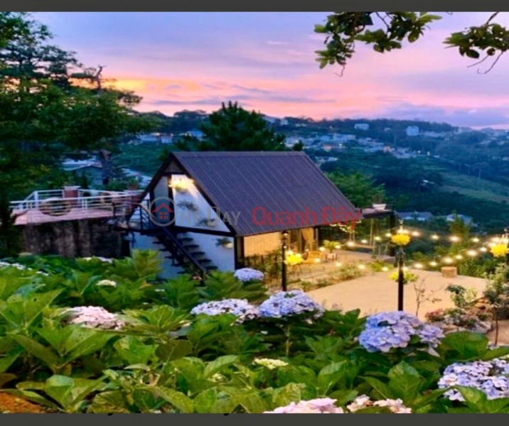 Property Search Vietnam | OneDay | Residential Sales Listings, PROFITABLE INVESTMENT – OWNER NEEDS TO SELL LAND IN NAM BAN COMMUNE, NAM HA DISTRICT, LAM DONG PROVINCE