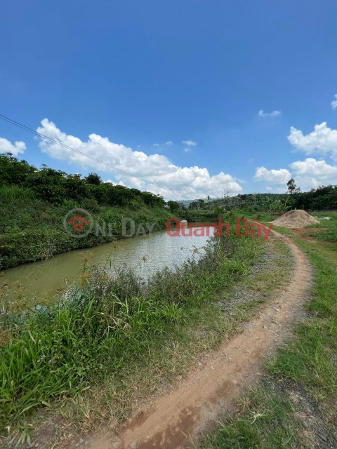 BEAUTIFUL LAND - GOOD PRICE - Land Lot For Sale Prime Location In Di Linh District, Lam Dong _0