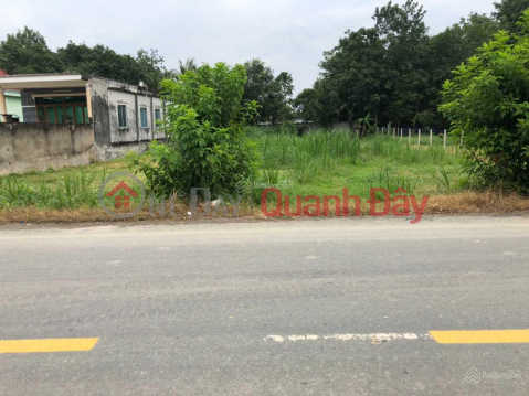 Land for Sale on Ba Thien Street, Nhuan Duc, Cu Chi | 500sqm _0