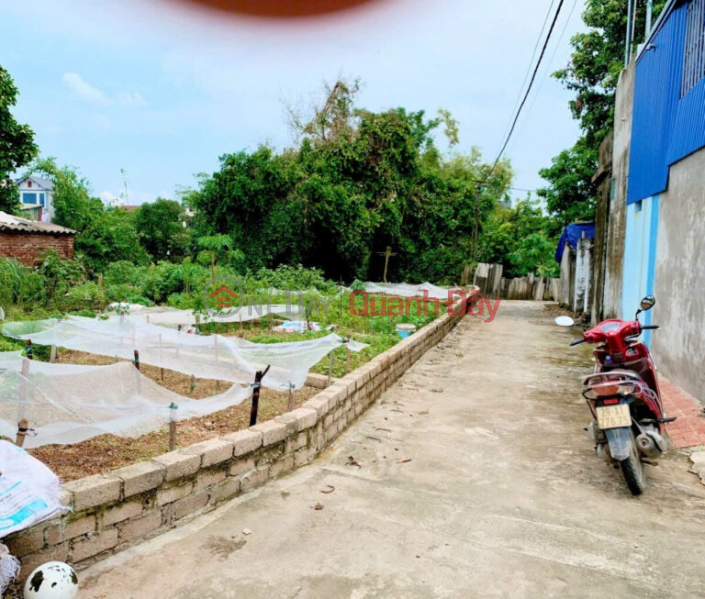 Property Search Vietnam | OneDay | Residential, Sales Listings | SUPER PROFITABLE INVESTMENT PRODUCT, PRICE ONLY 1.3 BILLION VND LAND IN TRUNG HOA-CHUONG MY, AREA: 47.1M