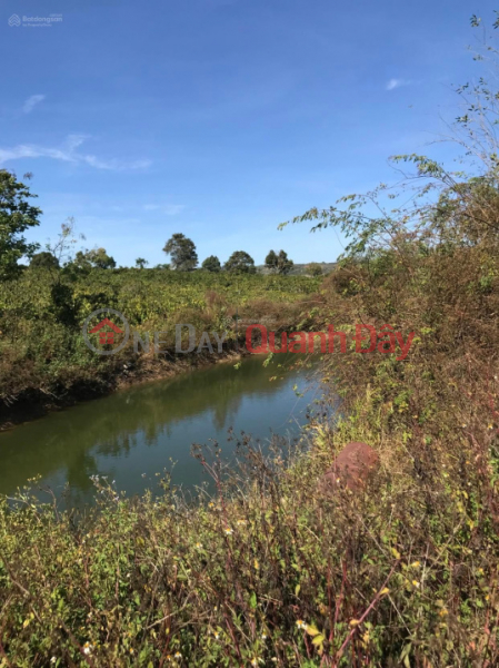 Land for sale 1.3 ha Ninh Gia, Duc Trong, Lam Dong, price 14.8 billion, 6m concrete road, Vietnam, Sales, đ 14.8 Billion