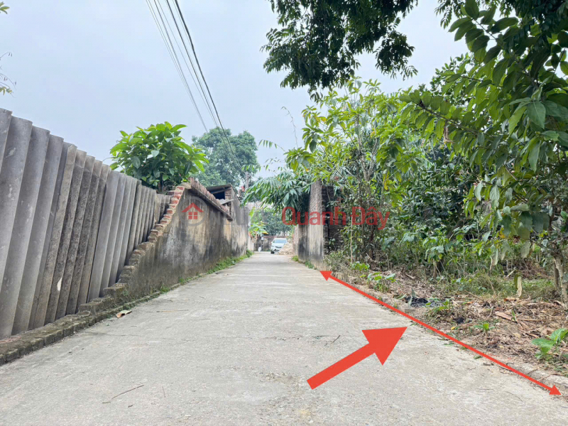 Siêu phẩm đất Phù Trì, Kim Hoa, Mê Linh. Đường thông, ô tô đỗ, đất vuông vắn, xây nhà cực đẹp Niêm yết bán