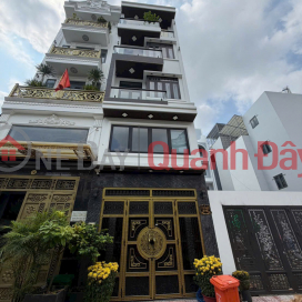 OWNER SELLING HOUSE QUICKLY AT A DISCOUNTED PRICE IN BINH TAN DISTRICT, HO CHI MINH CITY _0