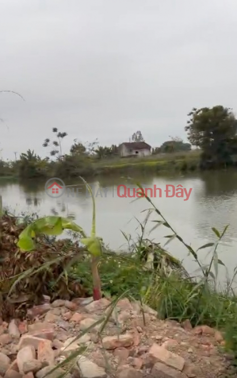 Siêu phẩm view sông - Hiếm có khó tìm - đất Đẹp, tiềm năng tăng giá - Phù hợp làm nhà vườn _0