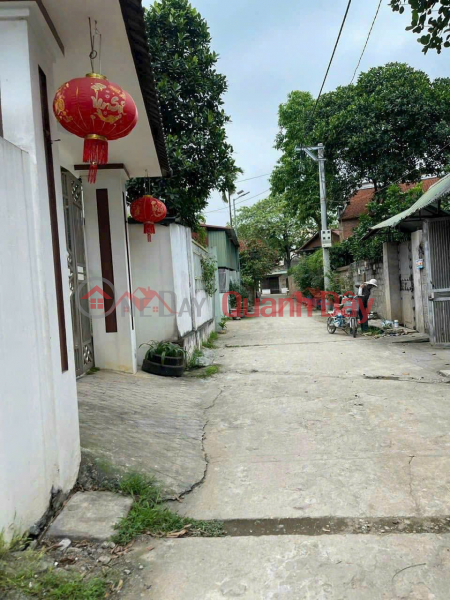 OWNER NEEDS TO SELL 60M2 LAND LOT IN PHU NGHIA INDUSTRIAL PARK - CHUONG MY - HANOI, Vietnam Sales, đ 2.2 Billion