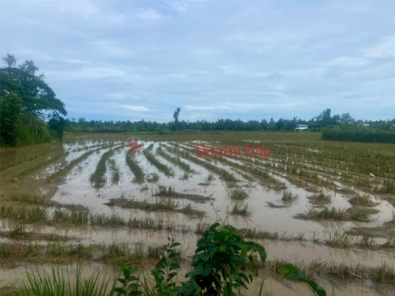 Property Search Vietnam | OneDay | Residential Sales Listings, BEAUTIFUL LAND - CHEAP PRICE - QUICK SALE OF 2 LOT OF LAND IN BINH THUY DISTRICT, CAN THO CITY
