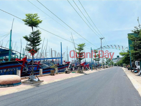 HOT HOT – FACTORY FOR SALE WITH 2 FRONTAGES – NEAR SEAPORT – Tam Quan Bac Commune, Hoai Nhon Town, Binh Dinh Province _0