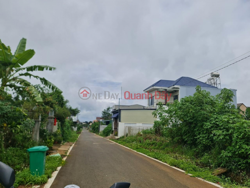 BEAUTIFUL LAND - GOOD PRICE - Land Lot For Sale Prime Location In Di Linh Town, Di Linh District, Lam Dong Sales Listings