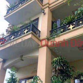 Biệt Thự Sân Vườn 4 Tầng, Phường 15 , Tân Bình _0