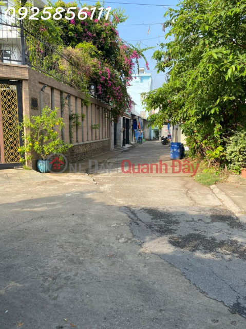 House for urgent sale - 67m truck alley more than 4 billion residential areas - Near Dao Son Tay High School _0