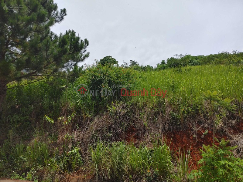 đ 6.7 Billion Beautiful Land - Good Price - Owner Needs to Sell Resort Land Lot with Beautiful Location in Xuan Truong Commune, Da Lat City