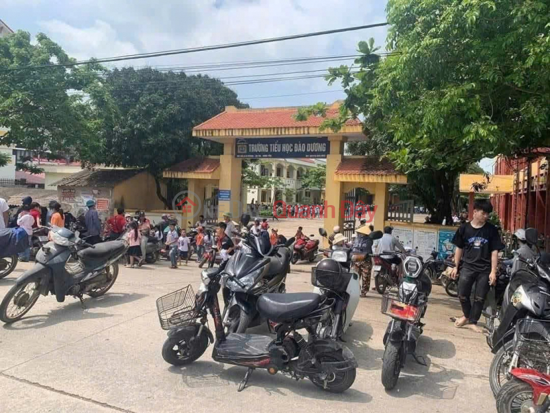 Sở Hữu Ngay 3 Lô Đấu Giá Đào Dương, Ân Thi, Hưng Yên - GIÁ CỰC SỐC | Việt Nam Bán, đ 2,45 tỷ