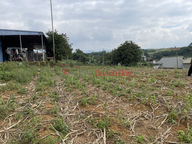 đ 780 Million | I am the owner selling this plot of land in Cao Phong, Hoa Binh at a loss.