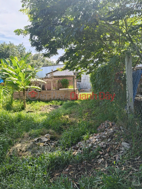 PRIME LAND, INVESTMENT OPPORTUNITY – OWNER SELLING A PLOT OF LAND IN PHUOC HIEP COMMUNE, CU CHI DISTRICT, HO CHI MINH CITY _0