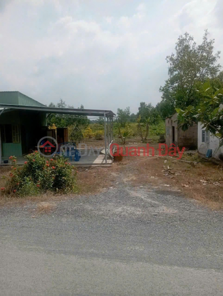 PRIME LOCATION LAND - GOOD PRICE - OWNER SELLING QUICKLY: PLOT OF LAND WITH 2 FRONTAGES in BEN LUC DISTRICT, LONG AN PROVINCE, Vietnam Sales | đ 3.9 Billion