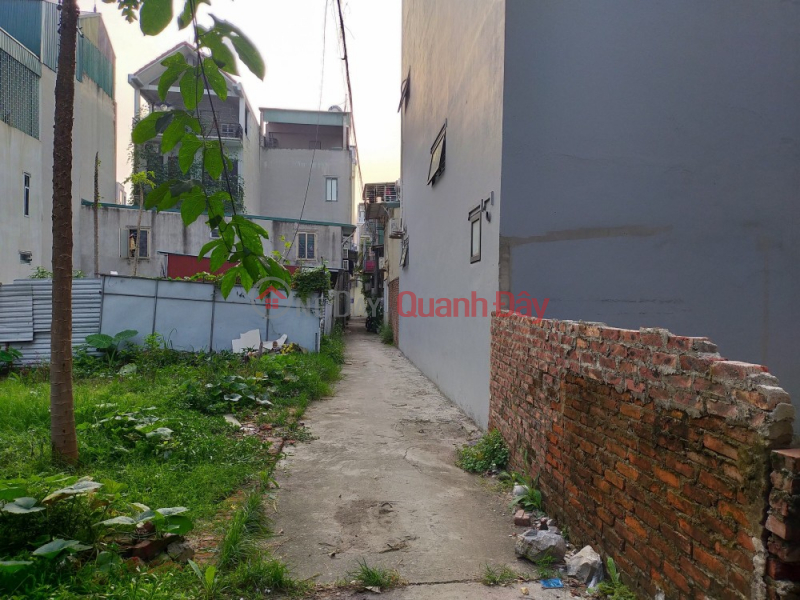 Property Search Vietnam | OneDay | Residential, Sales Listings DA Quang Trung street land - VERY BEAUTIFUL LOCATION - 2 FACTORY HOUSES AVOID CAR - CONSTRUCTION HOTEL - OFFICE - BUSINESS